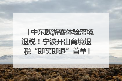 中东欧游客体验离境退税！宁波开出离境退税“即买即退”首单