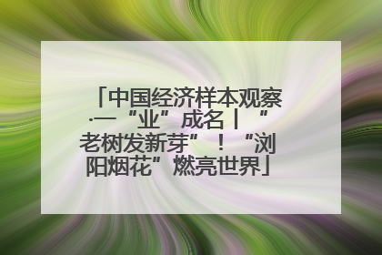 中国经济样本观察·一“业”成名丨“老树发新芽”！“浏阳烟花”燃亮世界