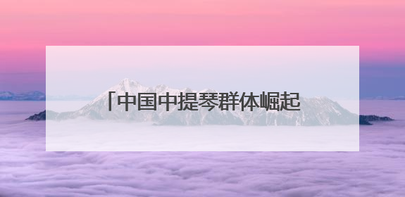中国中提琴群体崛起缩影，上音学生林怡秀中提琴国际赛事夺冠