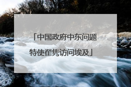 中国政府中东问题特使翟隽访问埃及