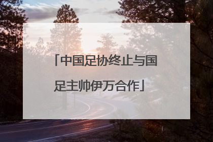 中国足协终止与国足主帅伊万合作
