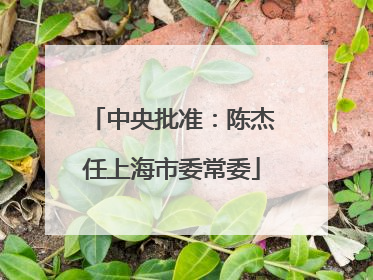中央批准：陈杰任上海市委常委