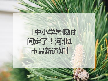 中小学暑假时间定了！河北1市最新通知