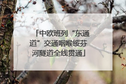 中欧班列“东通道”交通咽喉绥芬河隧道全线贯通