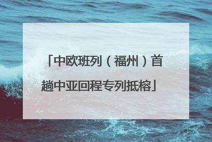 中欧班列（福州）首趟中亚回程专列抵榕