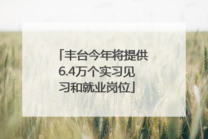 丰台今年将提供6.4万个实习见习和就业岗位