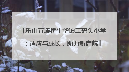 乐山五通桥牛华镇二码头小学：适应与成长，助力新启航