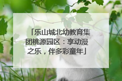 乐山城北幼教育集团桃源园区：享动漫之乐，伴多彩童年