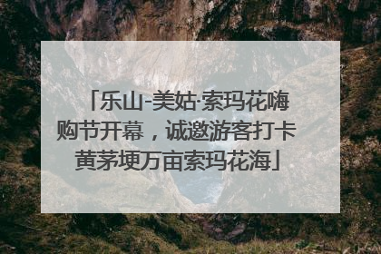 乐山-美姑·索玛花嗨购节开幕，诚邀游客打卡黄茅埂万亩索玛花海
