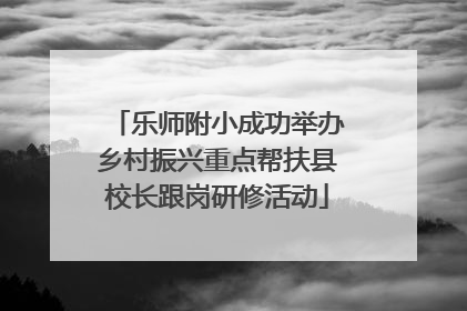 乐师附小成功举办乡村振兴重点帮扶县校长跟岗研修活动