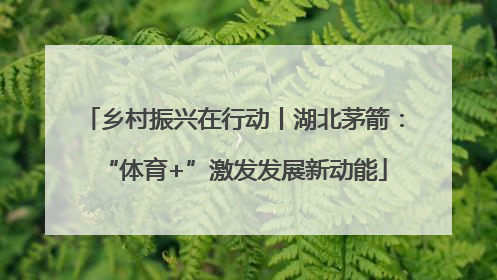 乡村振兴在行动丨湖北茅箭：“体育+”激发发展新动能