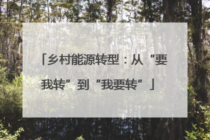 乡村能源转型：从“要我转”到“我要转”