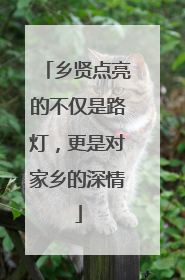 乡贤点亮的不仅是路灯，更是对家乡的深情