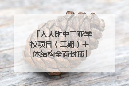 人大附中三亚学校项目（二期）主体结构全面封顶