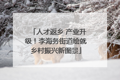 人才返乡 产业升级！李海务街道绘就乡村振兴新图景