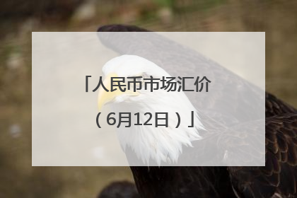 人民币市场汇价（6月12日）