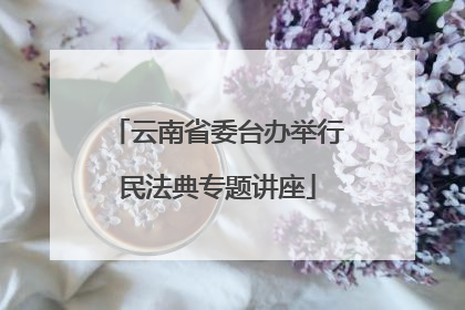 云南省委台办举行民法典专题讲座