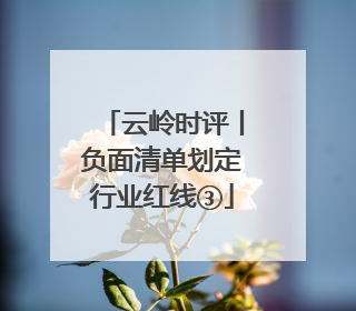 云岭时评丨负面清单划定行业红线③