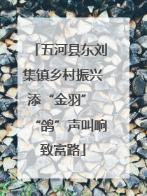 五河县东刘集镇乡村振兴添“金羽” “鸽”声叫响致富路