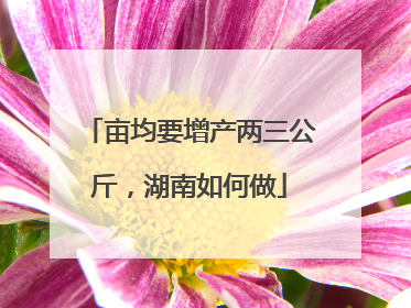 亩均要增产两三公斤，湖南如何做