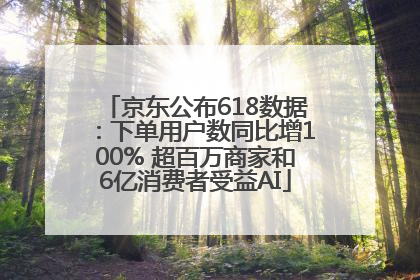 京东公布618数据：下单用户数同比增100% 超百万商家和6亿消费者受益AI