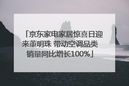 京东家电家居惊喜日迎来董明珠 带动空调品类销量同比增长100%