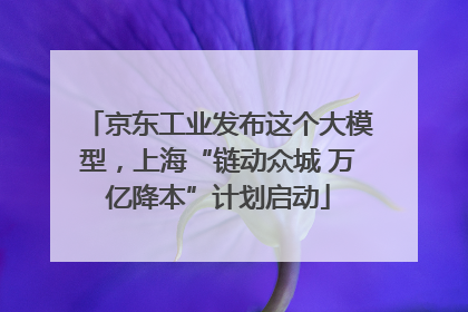 京东工业发布这个大模型，上海“链动众城 万亿降本”计划启动