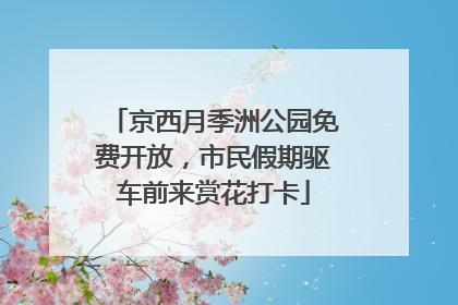 京西月季洲公园免费开放，市民假期驱车前来赏花打卡
