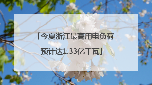 今夏浙江最高用电负荷预计达1.33亿千瓦