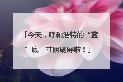 今天，呼和浩特的“蓝”底一寸照刷屏啦！