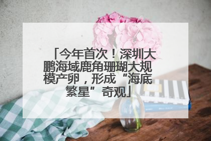 今年首次！深圳大鹏海域鹿角珊瑚大规模产卵，形成“海底繁星”奇观