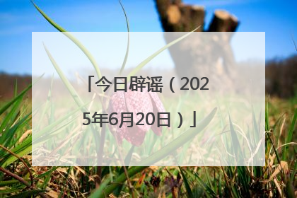 今日辟谣（2025年6月20日）