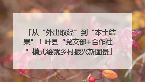 从“外出取经”到“本土结果”！叶县“党支部+合作社”模式绘就乡村振兴新图景