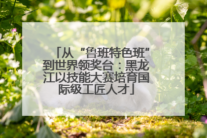 从“鲁班特色班”到世界领奖台：黑龙江以技能大赛培育国际级工匠人才