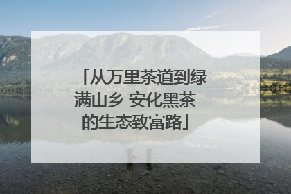 从万里茶道到绿满山乡 安化黑茶的生态致富路