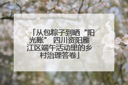 从包粽子到晒“阳光账” 四川资阳雁江区端午活动里的乡村治理答卷
