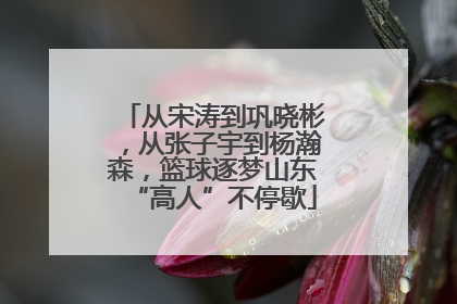 从宋涛到巩晓彬，从张子宇到杨瀚森，篮球逐梦山东“高人”不停歇