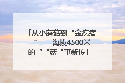 从小蘑菇到“金疙瘩“——海拔4500米的““菇“事新传