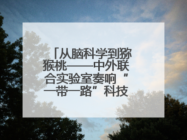 从脑科学到猕猴桃——中外联合实验室奏响“一带一路”科技合作交响曲