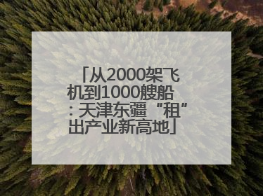 从2000架飞机到1000艘船：天津东疆“租”出产业新高地