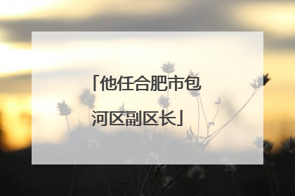 他任合肥市包河区副区长