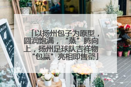 以扬州包子为原型，圆润饱满，“蒸”腾向上，扬州足球队吉祥物“包赢”亮相即售罄