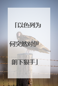 以色列为何突然对伊朗下狠手