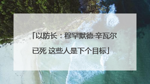 以防长：穆罕默德·辛瓦尔已死 这些人是下个目标