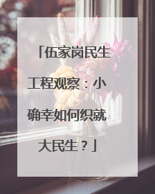 伍家岗民生工程观察：小确幸如何织就大民生？