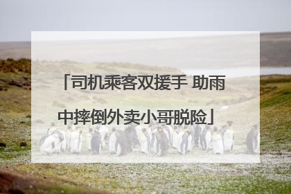司机乘客双援手 助雨中摔倒外卖小哥脱险