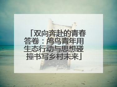 双向奔赴的青春答卷：鸬鸟青年用生态行动与思想碰撞书写乡村未来