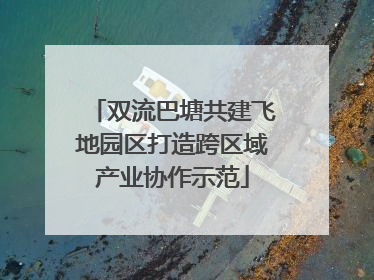 双流巴塘共建飞地园区打造跨区域产业协作示范