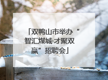 双鸭山市举办“智汇煤城·才聚双赢”招聘会