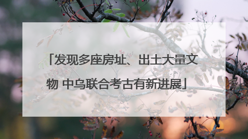 发现多座房址、出土大量文物 中乌联合考古有新进展